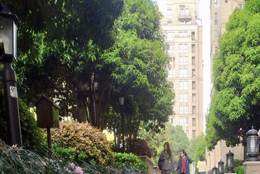 樱花路上