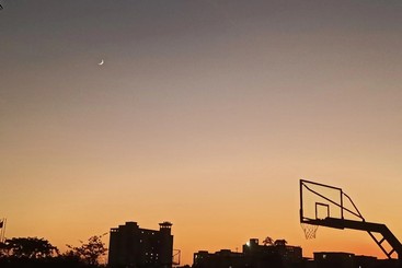 投篮