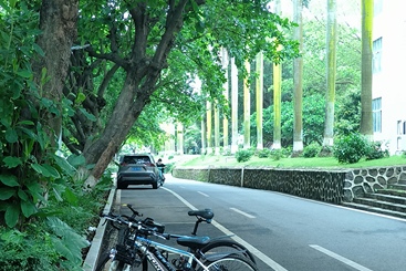 小路