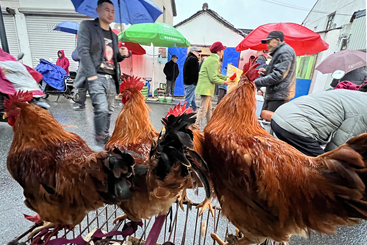 市场偶遇