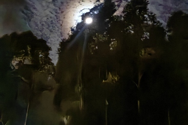 弥勒·夜