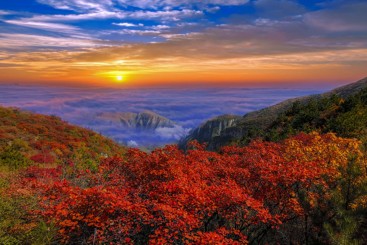 太行山秋色