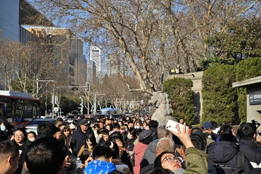 我在人群里发现你