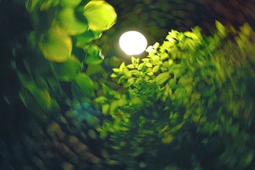 梦幻般的夜晚