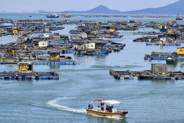 海洋牧场