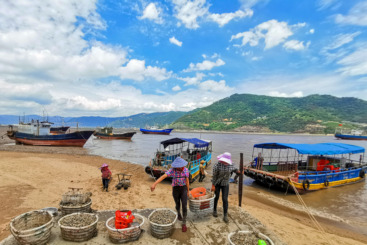 ”海归“