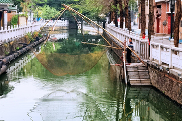 《水乡情深》
