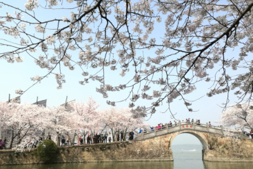 春到太湖