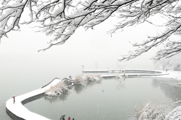 万浪踏雪