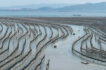 《S湾风光》