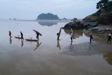 赶海