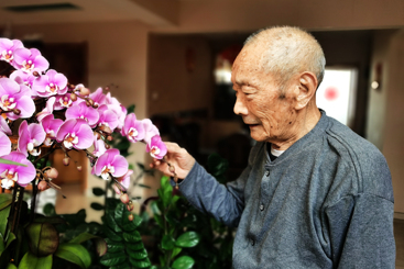 岁月花开