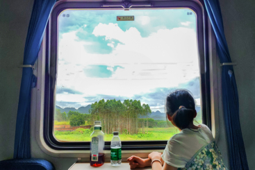 《窗外的风景》