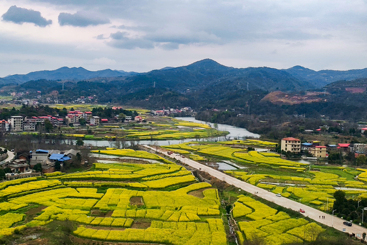 《美丽乡村》