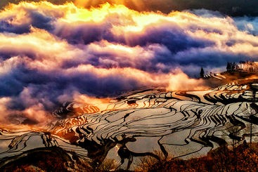云涌梯田