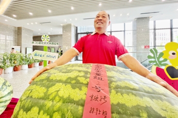 我是西瓜王