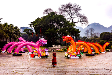 《龙年吉祥》