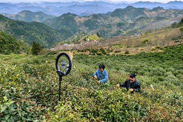 大山里的直播间