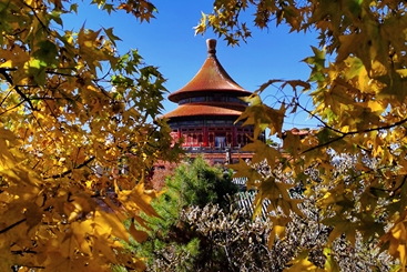古刹之秋（文体旅游类）