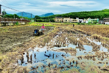 我的农田风光