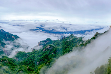 云海中的老君山