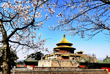 普乐寺之春（文体旅游类）