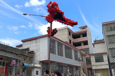 空中飞狮