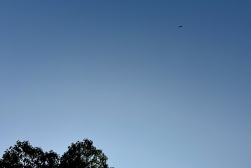 空