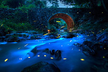 古桥夜色