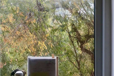 《一人一茶一景意声》