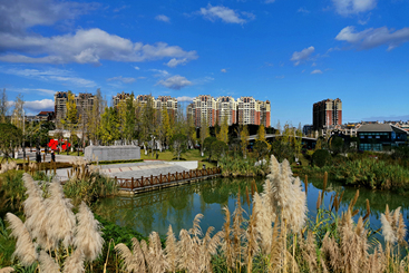 《秋日丽景》