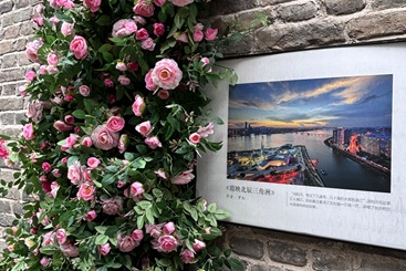 在小巷赏花赏画