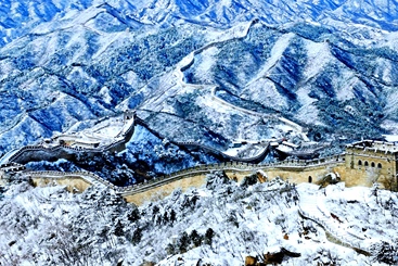龙在画中游