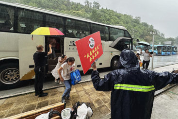 《树品牌》