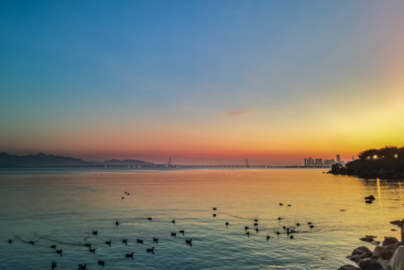 美丽深圳湾