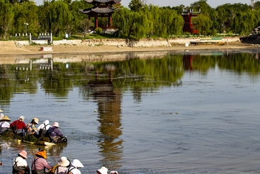 《种水草》
