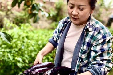 菜园子里的喜悦