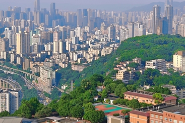 绿意中的都市脉动