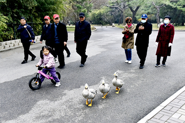 一路同行