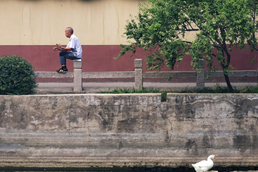 初夏小憩