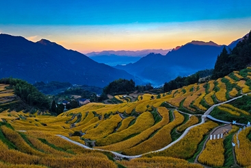 梯田“丰”景
