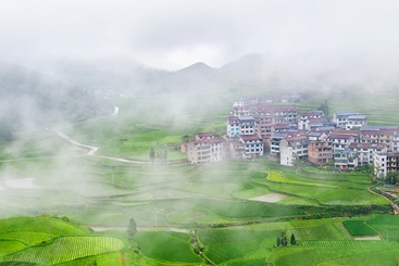 美丽家园