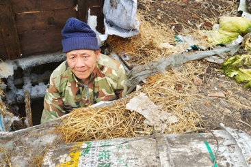 下窖掏菜