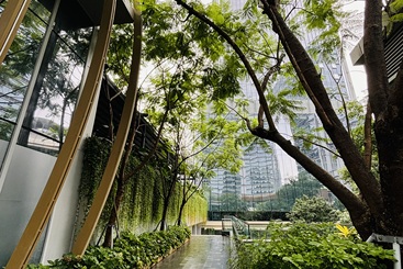 森林综合体--成都港汇天地