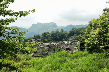山中村庄