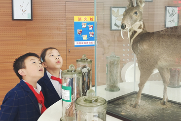 走进中药材标本馆