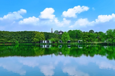 绿色屏障