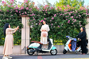 “赏花季” 