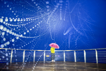 《雨夜》