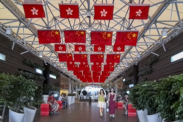 五星紫荆共璀璨